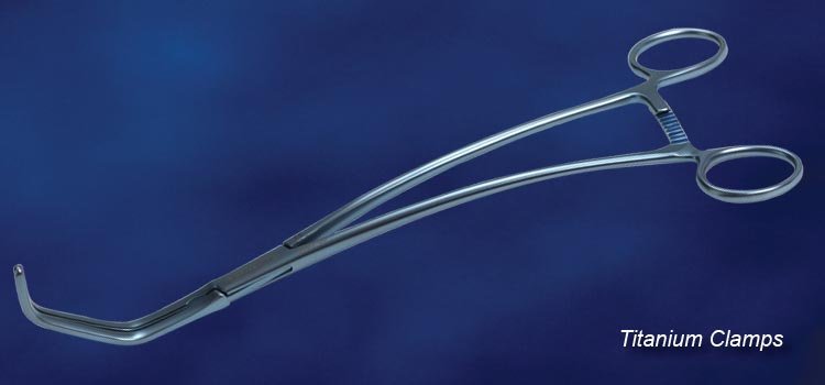 Scanlan Titan Klemme