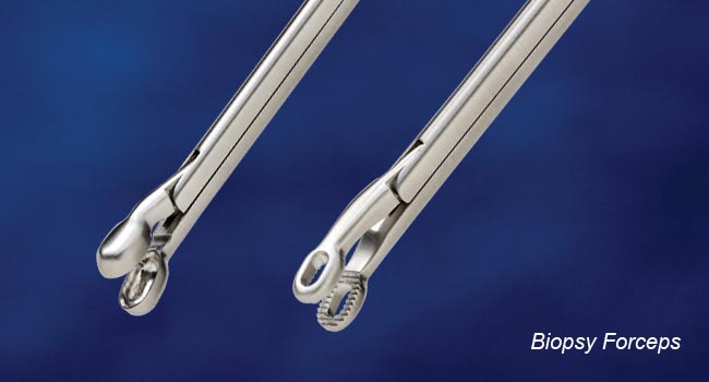 Scanlan VATS Biopsi Tenger